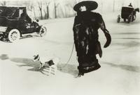 A Group of Three Color Photographs depicting Various Dog Breeds Largest: 19 3/4 x 15 3/4 inches.