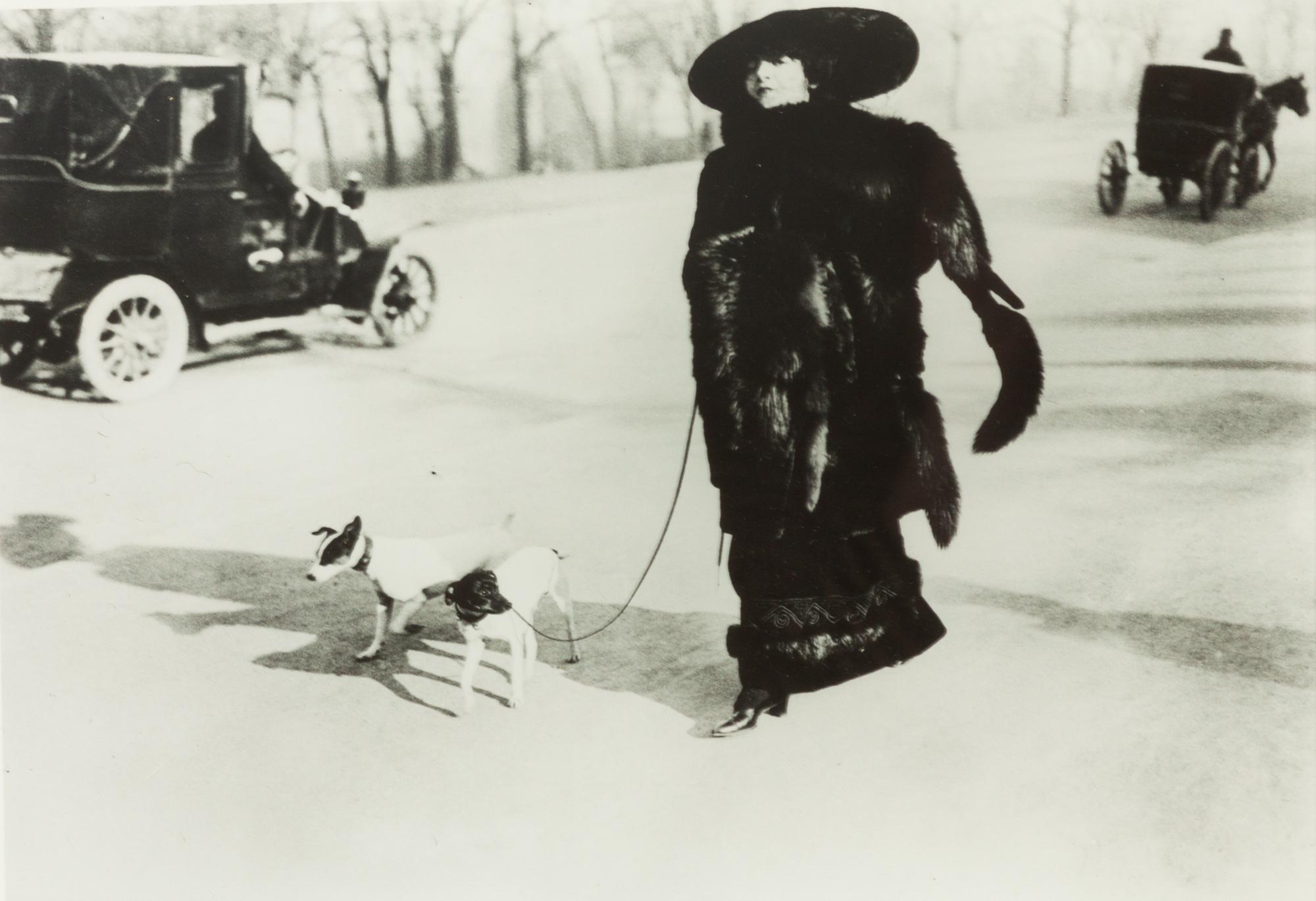 A Group of Three Color Photographs depicting Various Dog Breeds Largest: 19 3/4 x 15 3/4 inches.