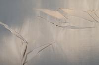 Untitled ( from Wash and Tear Series)