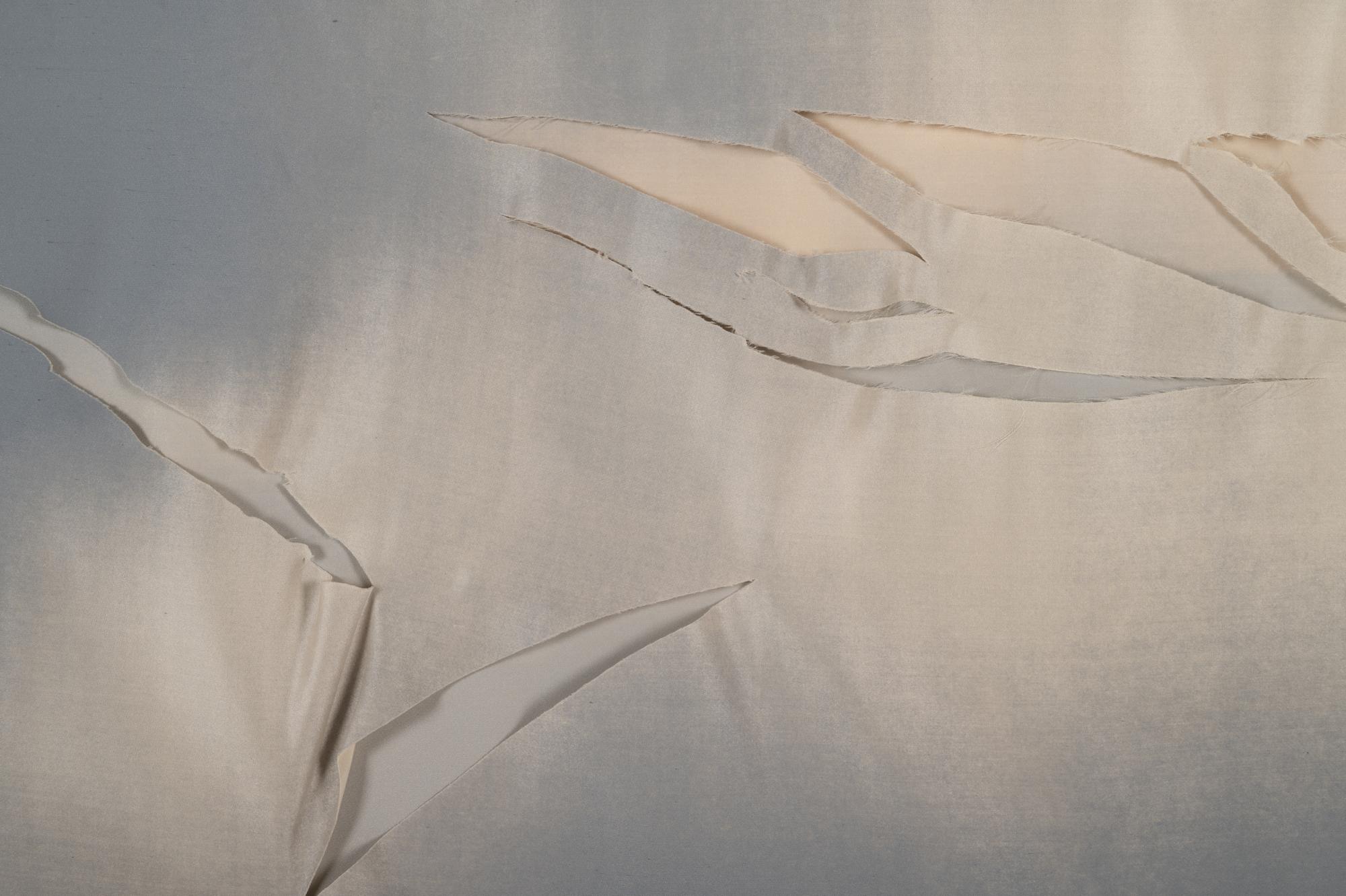 Untitled ( from Wash and Tear Series)