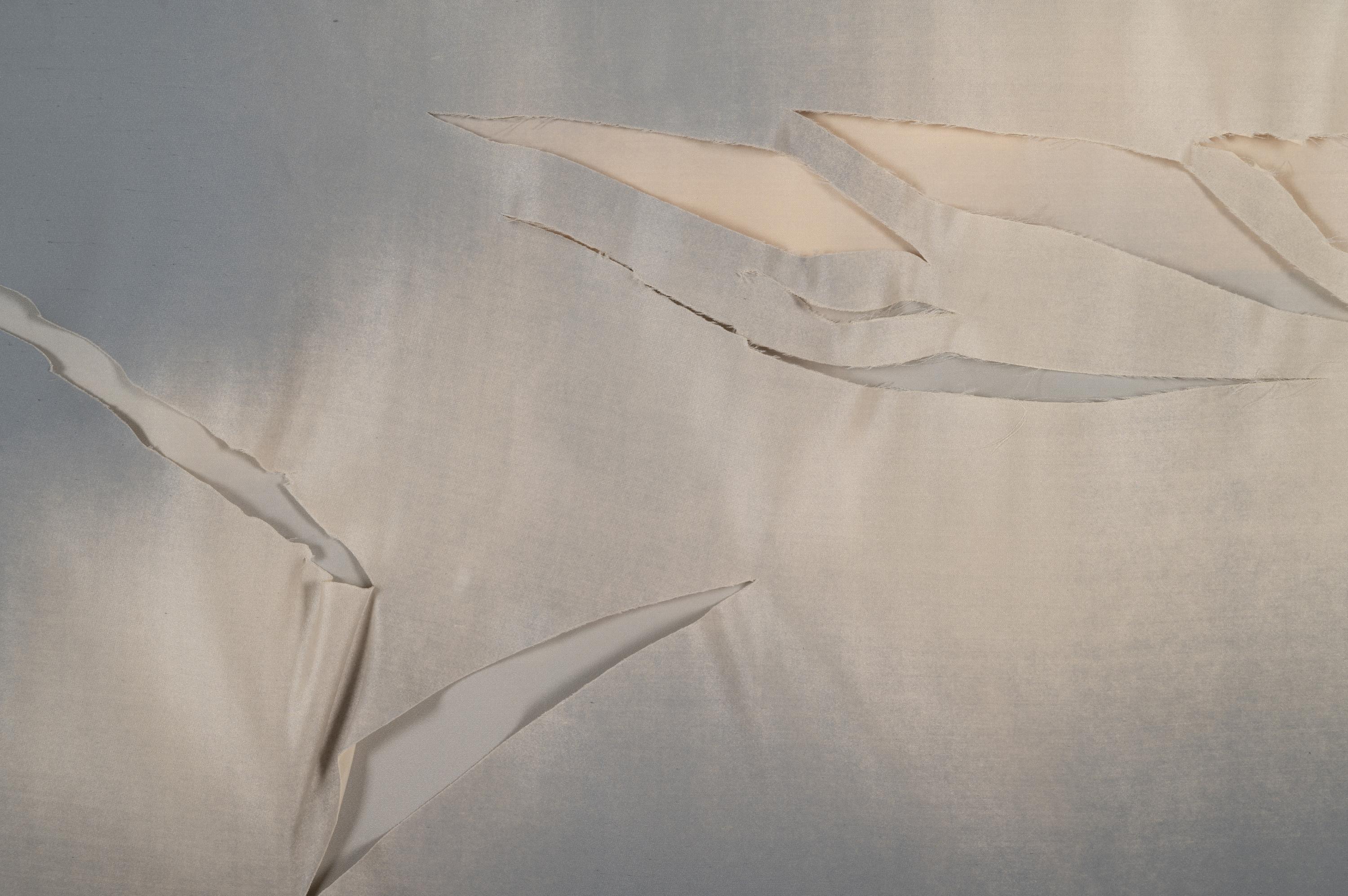 Untitled ( from Wash and Tear Series)