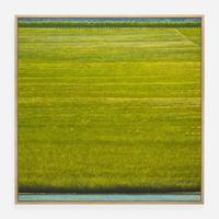 Woody Gwyn (American, b. 1944) Field/Pond 1