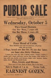 A Printed Auction Broadside