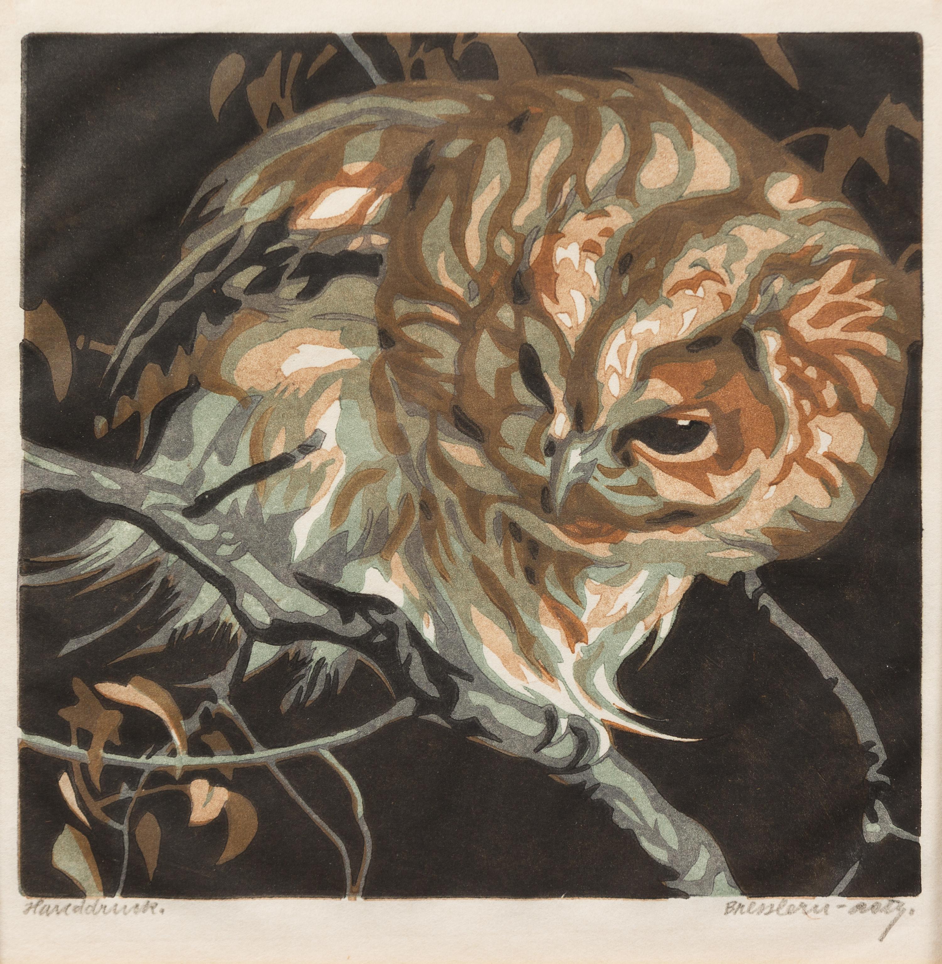 Norbertine Bresslern-Roth, (Austrian, 1891-1978), Owl