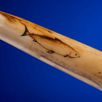 John Octuck (Inuit, 1873-1918) Scrimshawed Cribbage Board