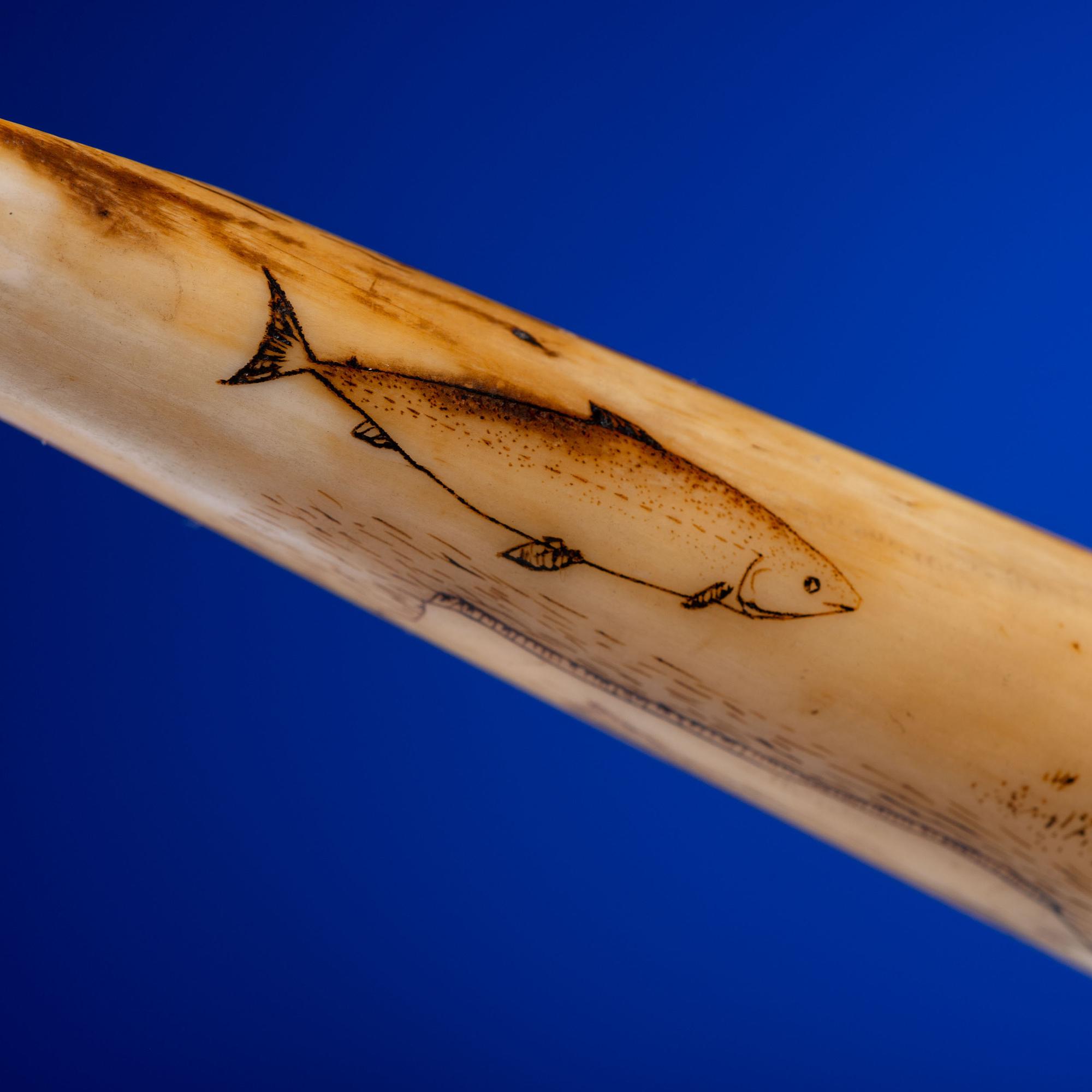 John Octuck (Inuit, 1873-1918) Scrimshawed Cribbage Board