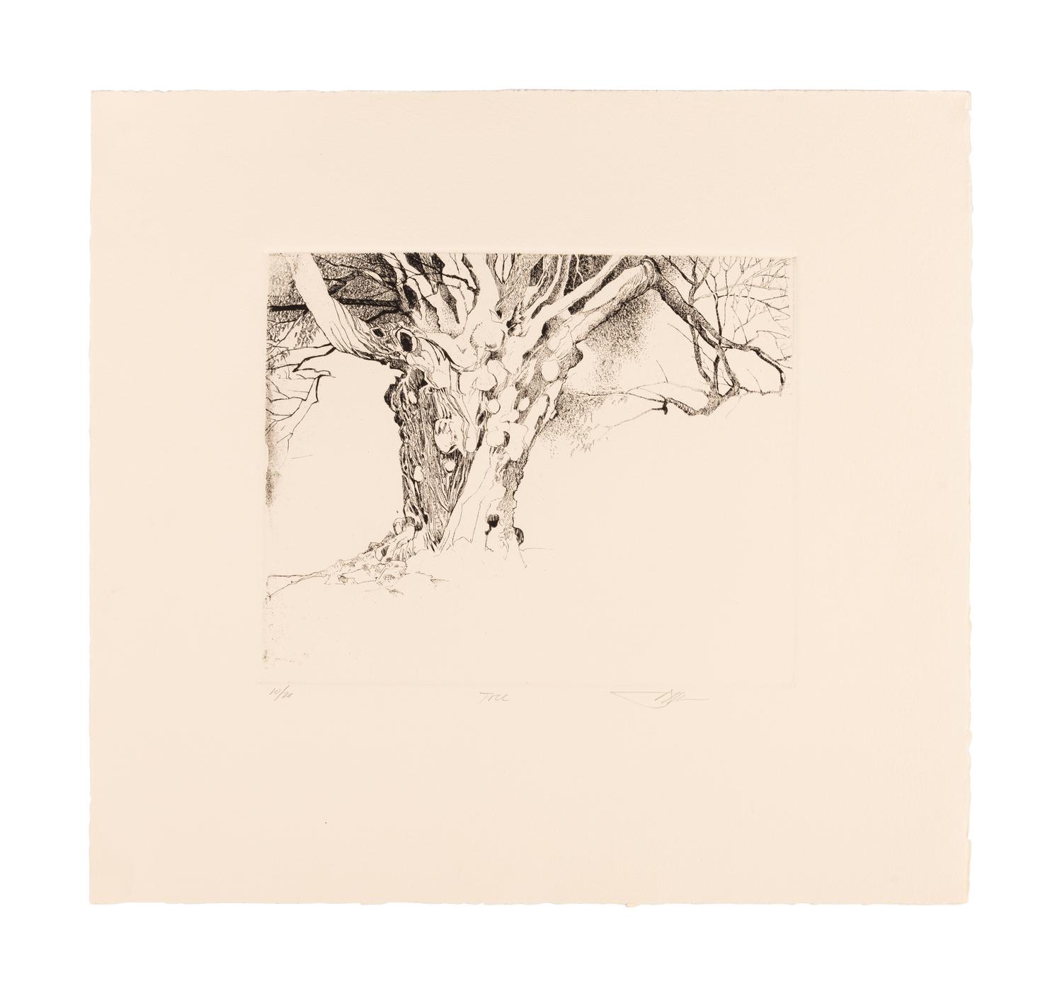 MOSER, Barry. Williston Tree 2. [ca 1979]. 372 x 408 mm. Etching. Captioned and signed in pencil, numbered 10/26. — Scatalogical Landscape. [ca 1979???]. 280 x 329 mm. Triptych on one sheet of separate etchings in dark green ink. Captioned and signed by Moser, inscribed “artist’s proof.”
