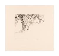 MOSER, Barry. Williston Tree 2. [ca 1979]. 372 x 408 mm. Etching. Captioned and signed in pencil, numbered 10/26. — Scatalogical Landscape. [ca 1979???]. 280 x 329 mm. Triptych on one sheet of separate etchings in dark green ink. Captioned and signed by Moser, inscribed “artist’s proof.”