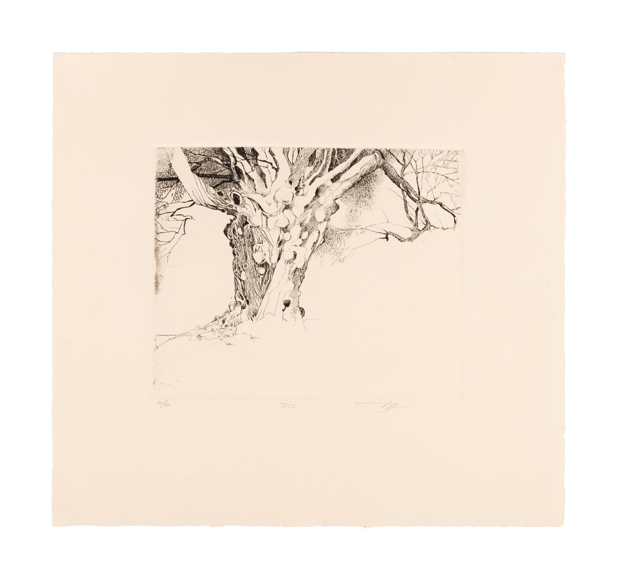 MOSER, Barry. Williston Tree 2. [ca 1979]. 372 x 408 mm. Etching. Captioned and signed in pencil, numbered 10/26. — Scatalogical Landscape. [ca 1979???]. 280 x 329 mm. Triptych on one sheet of separate etchings in dark green ink. Captioned and signed by Moser, inscribed “artist’s proof.”