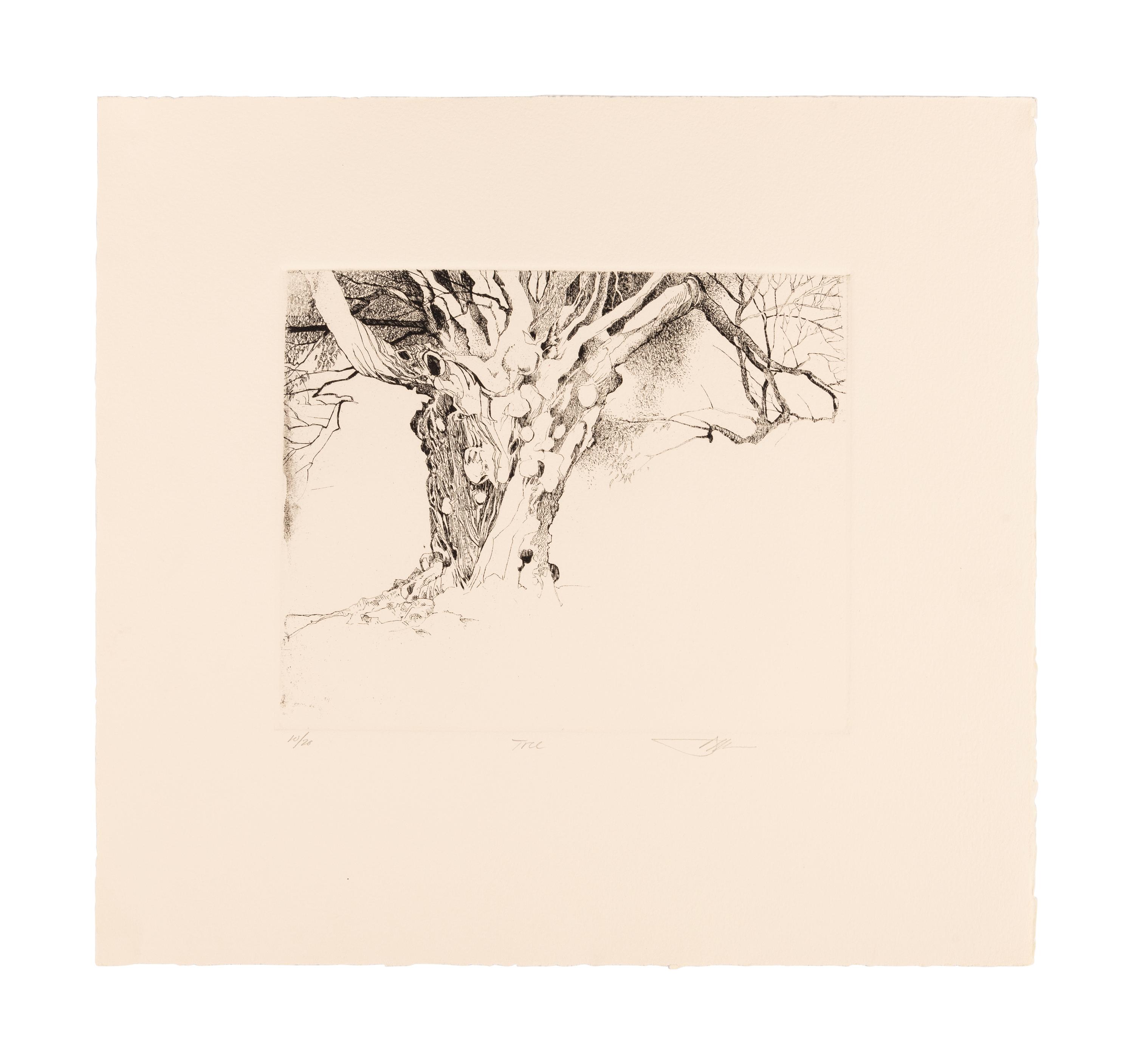 MOSER, Barry. Williston Tree 2. [ca 1979]. 372 x 408 mm. Etching. Captioned and signed in pencil, numbered 10/26. — Scatalogical Landscape. [ca 1979???]. 280 x 329 mm. Triptych on one sheet of separate etchings in dark green ink. Captioned and signed by Moser, inscribed “artist’s proof.”