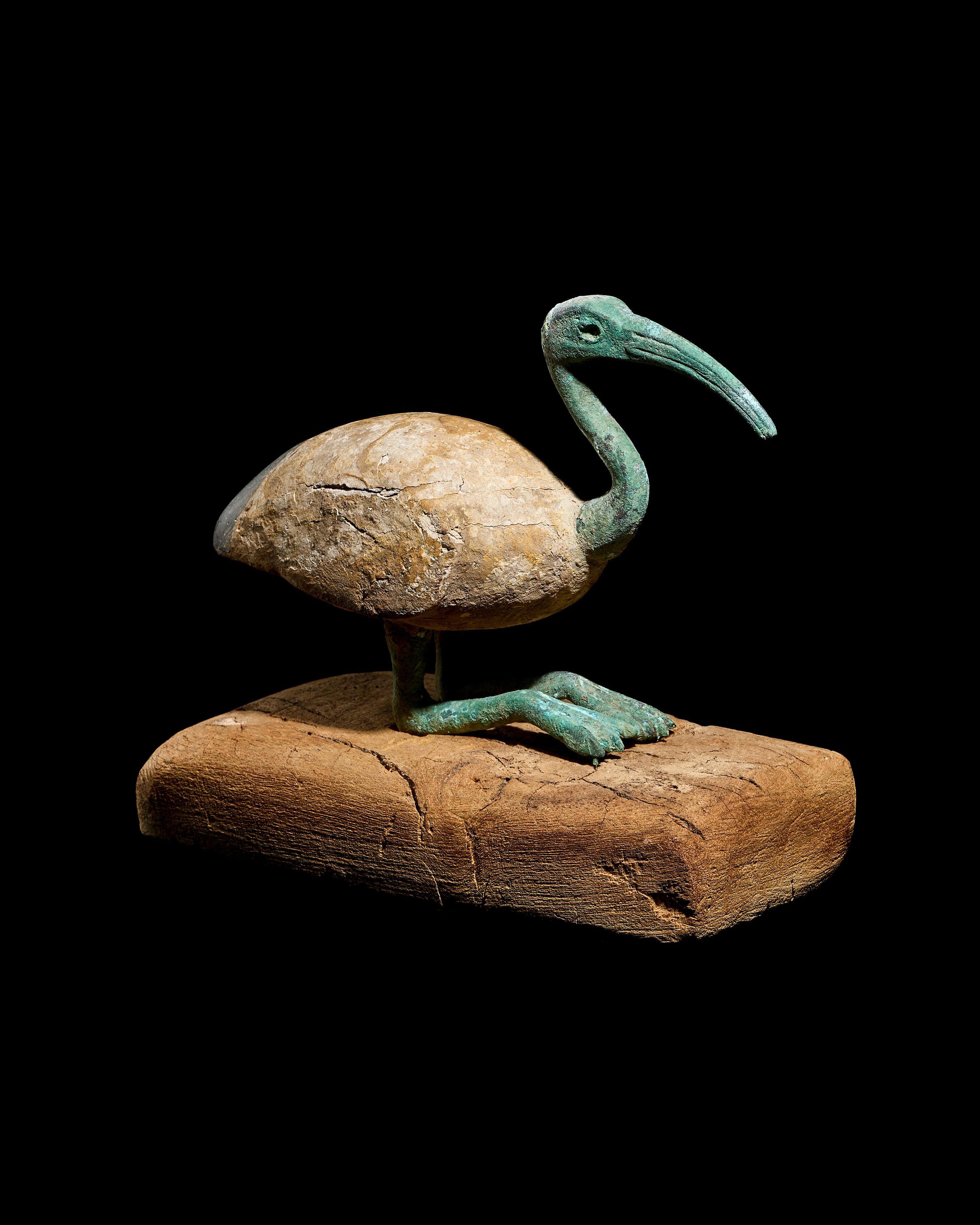 An Egyptian Wood and Bronze Ibis
