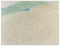 Beach Grasses, 1972