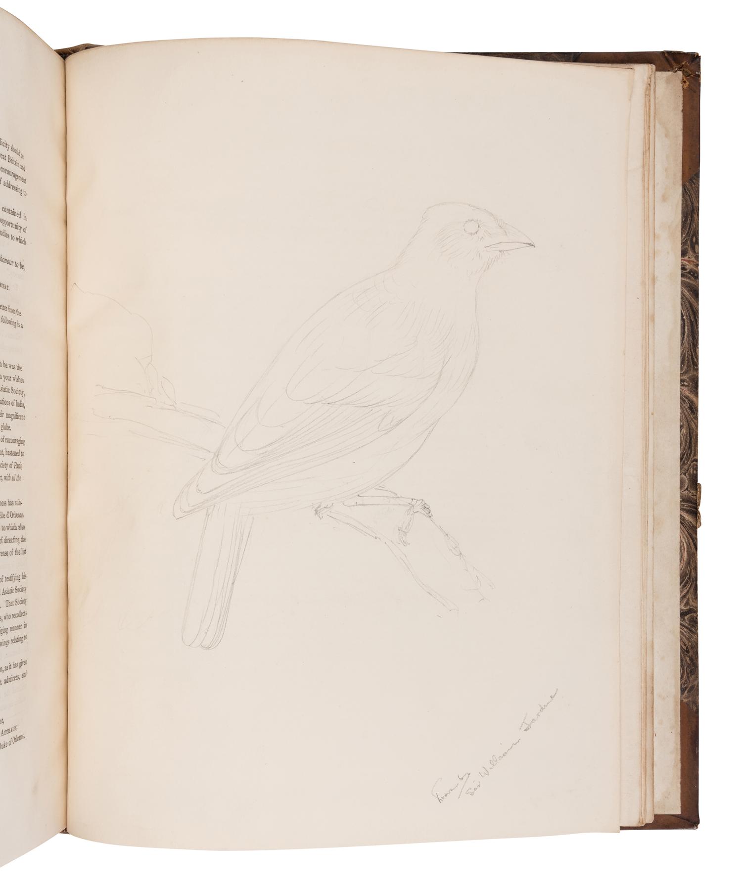 [NATURAL HISTORY] -- [JARDINE, William, Sir (1800-1874), his copy]. A sammelband of 14 offprints by various authors, an autograph letter, and a drawing, collected by William Jardine, including: