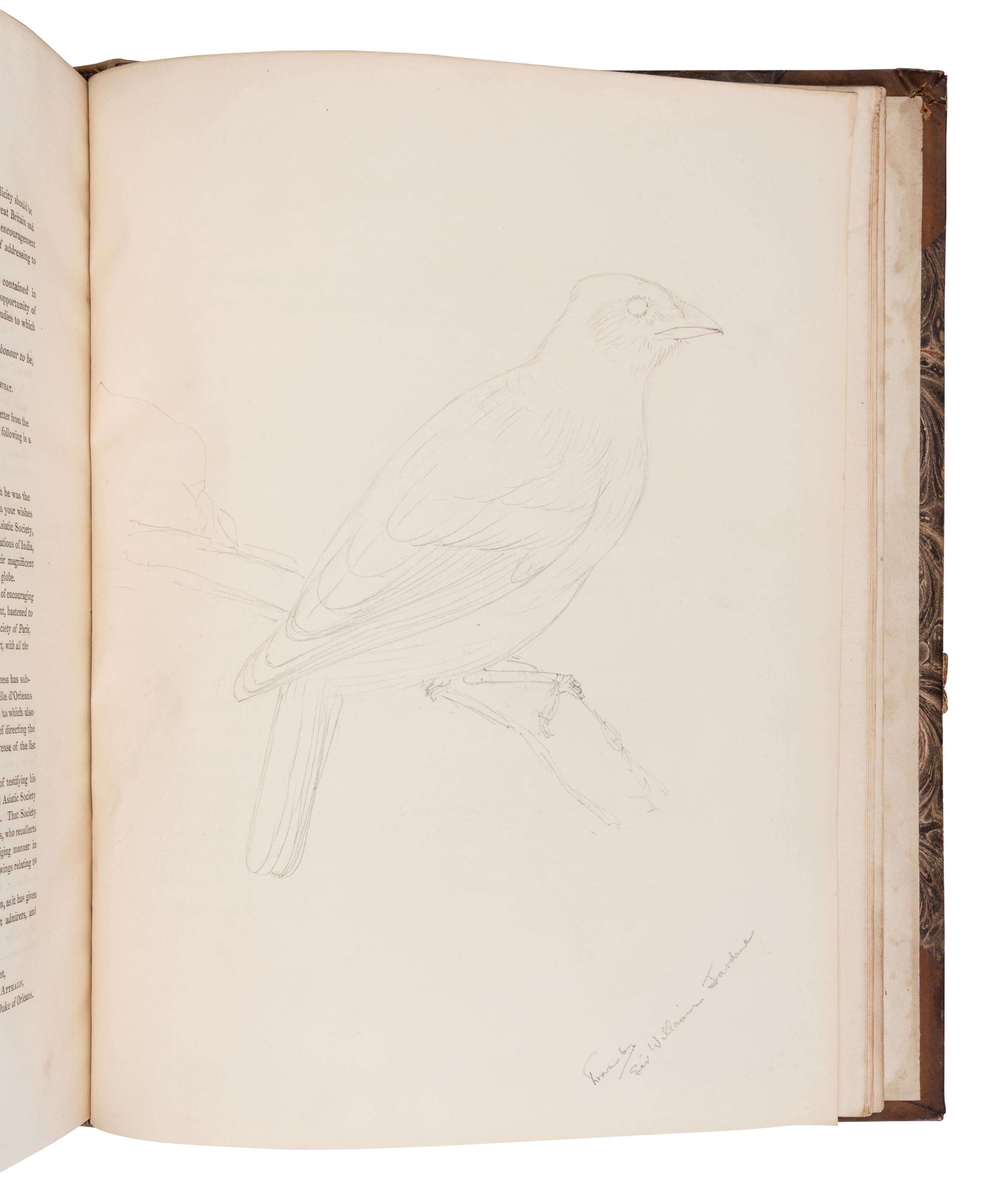 [NATURAL HISTORY] -- [JARDINE, William, Sir (1800-1874), his copy]. A sammelband of 14 offprints by various authors, an autograph letter, and a drawing, collected by William Jardine, including: