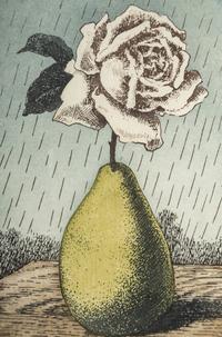 Untitled (Pear and Rose) (from Les Moyens d'Existence)
