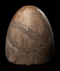 A Western Asiatic Stone Ritual Object
