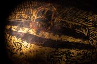 An Egyptian Gilt Cartonnage Mummy Mask