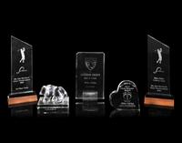 A Large Group of 20 Awards Presented to Mike Ditka Formerly Displayed in Ditka's Chicago Home