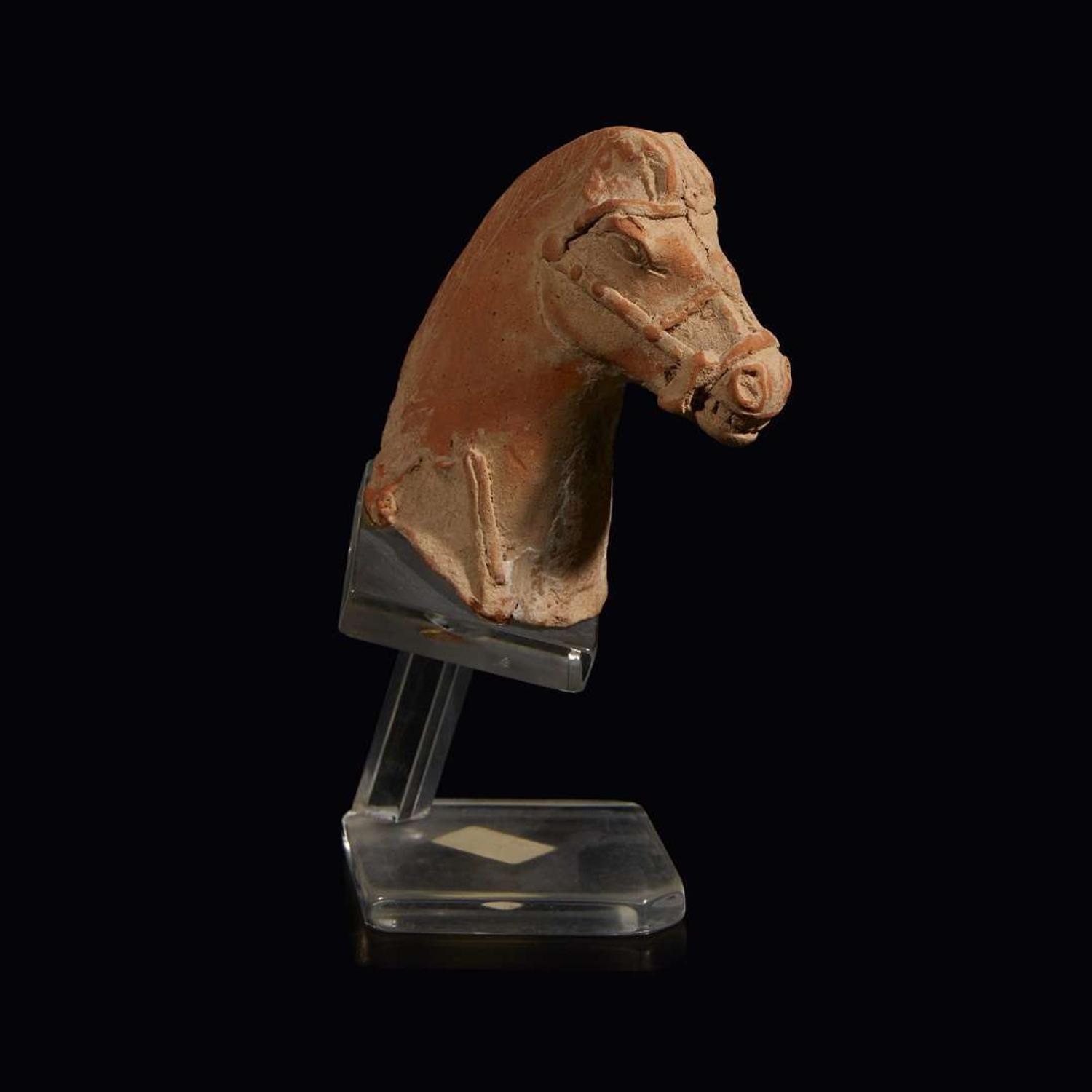 HELLENISTIC HEAD OF A HORSE C. 3rd Century BC