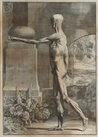Tabulae sceleti et musculorum corporis humani (three works)