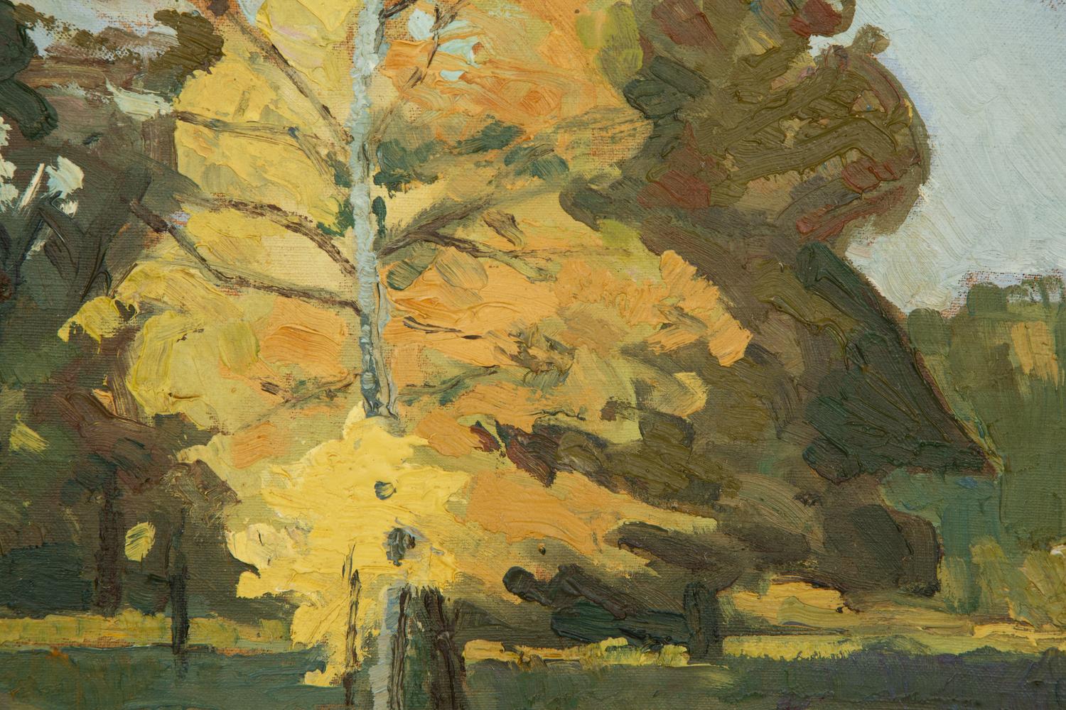 Sunny Landscape