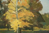 Sunny Landscape