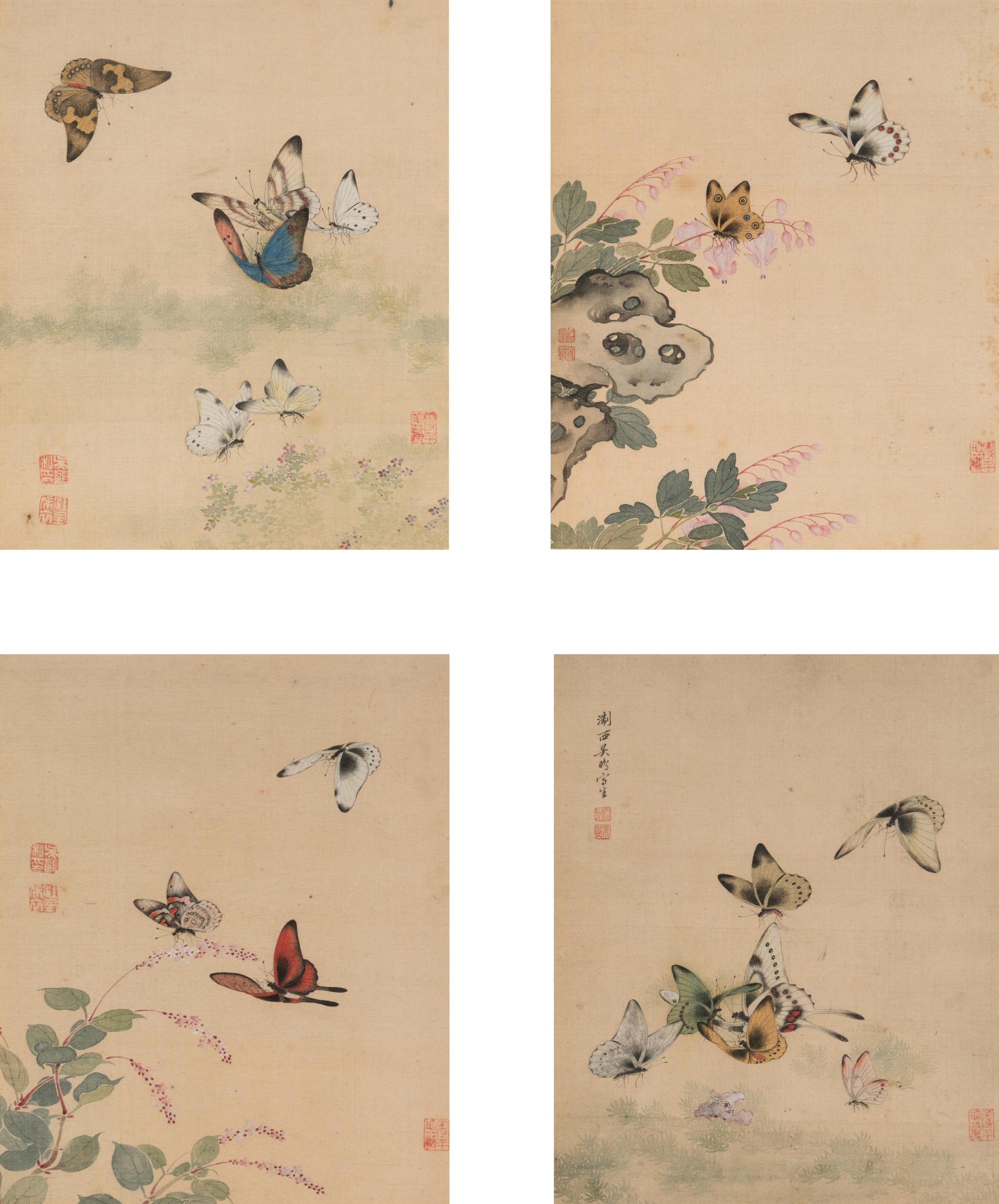 Four Chinese Paintings Depicting Butterflies