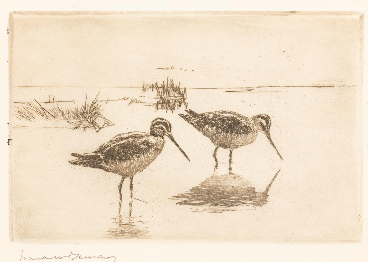 Pair of Snipe