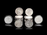 [PRIVATE ISSUE] Thirty-Seven 1-Troy Oz. Silver Rounds
