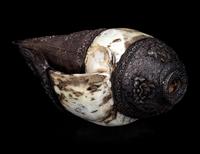 A Chinese Silvered Mounted Conch and A Silvered Metal Inlaid Basin