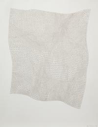 Untitled (Net)