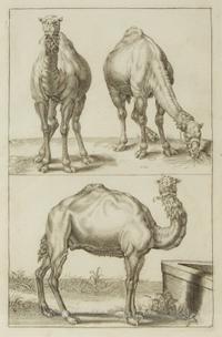 A Group of Ten Framed Continental Engravings — 18TH/19TH CENTURY