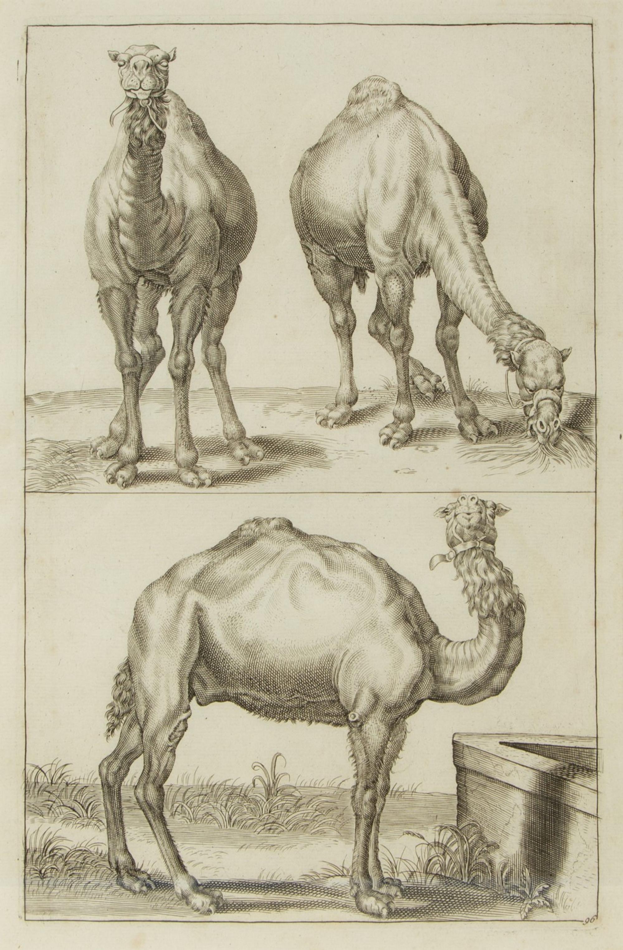 A Group of Ten Framed Continental Engravings — 18TH/19TH CENTURY