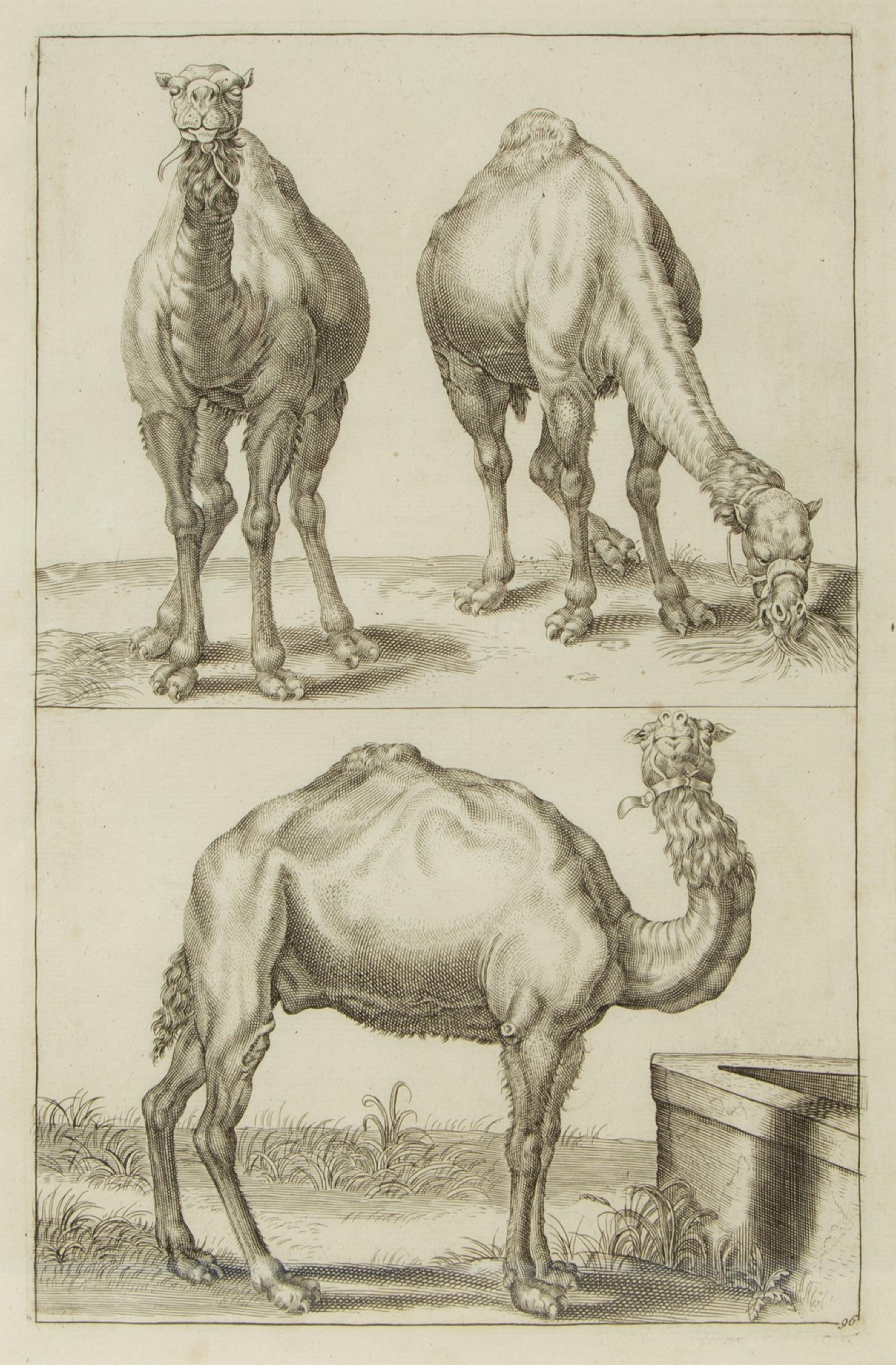 A Group of Ten Framed Continental Engravings — 18TH/19TH CENTURY