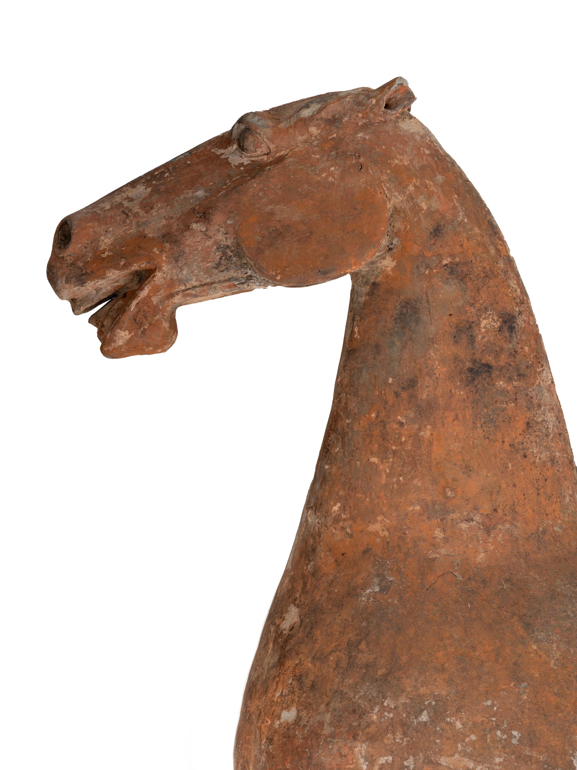 Two Chinese Terra Cotta Horses with Polychrome Remnants