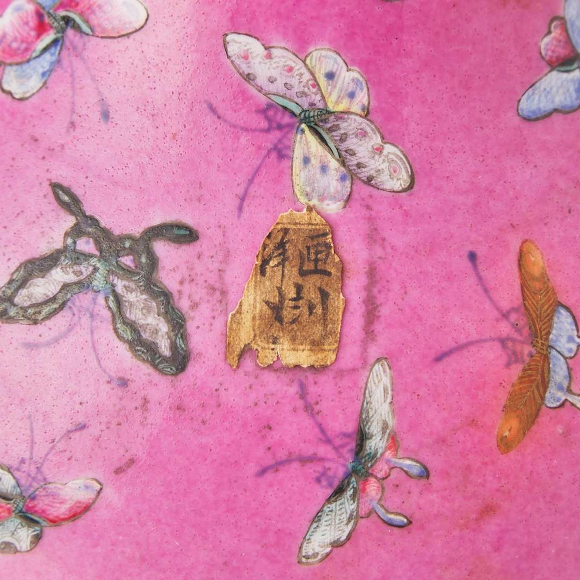 A Chinese pink-ground "Butterflies" vase 胭脂地蝴蝶瓶 19th century ????