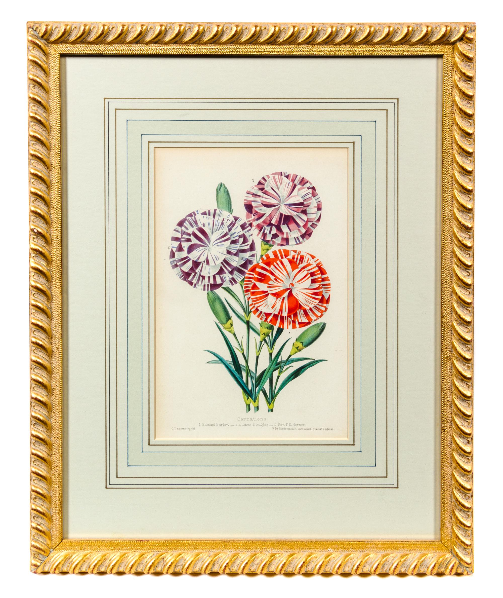 Two Floral Prints Each 10 x 6 5/8 inches (visible).