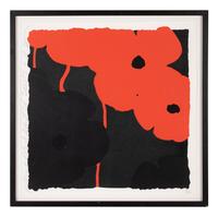 Poppies: Red and Black