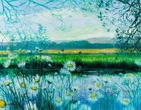 Spring Meadow