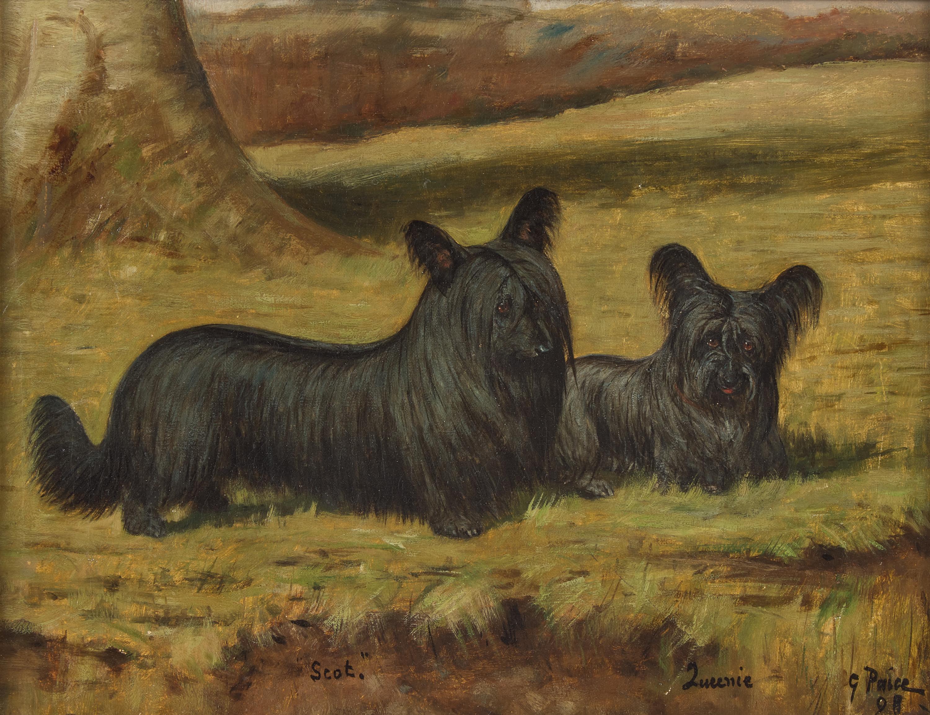 George Paice (English, 1854-1925) A Portrait of Two Skye Terriers Named "Scot" and "Queenie"