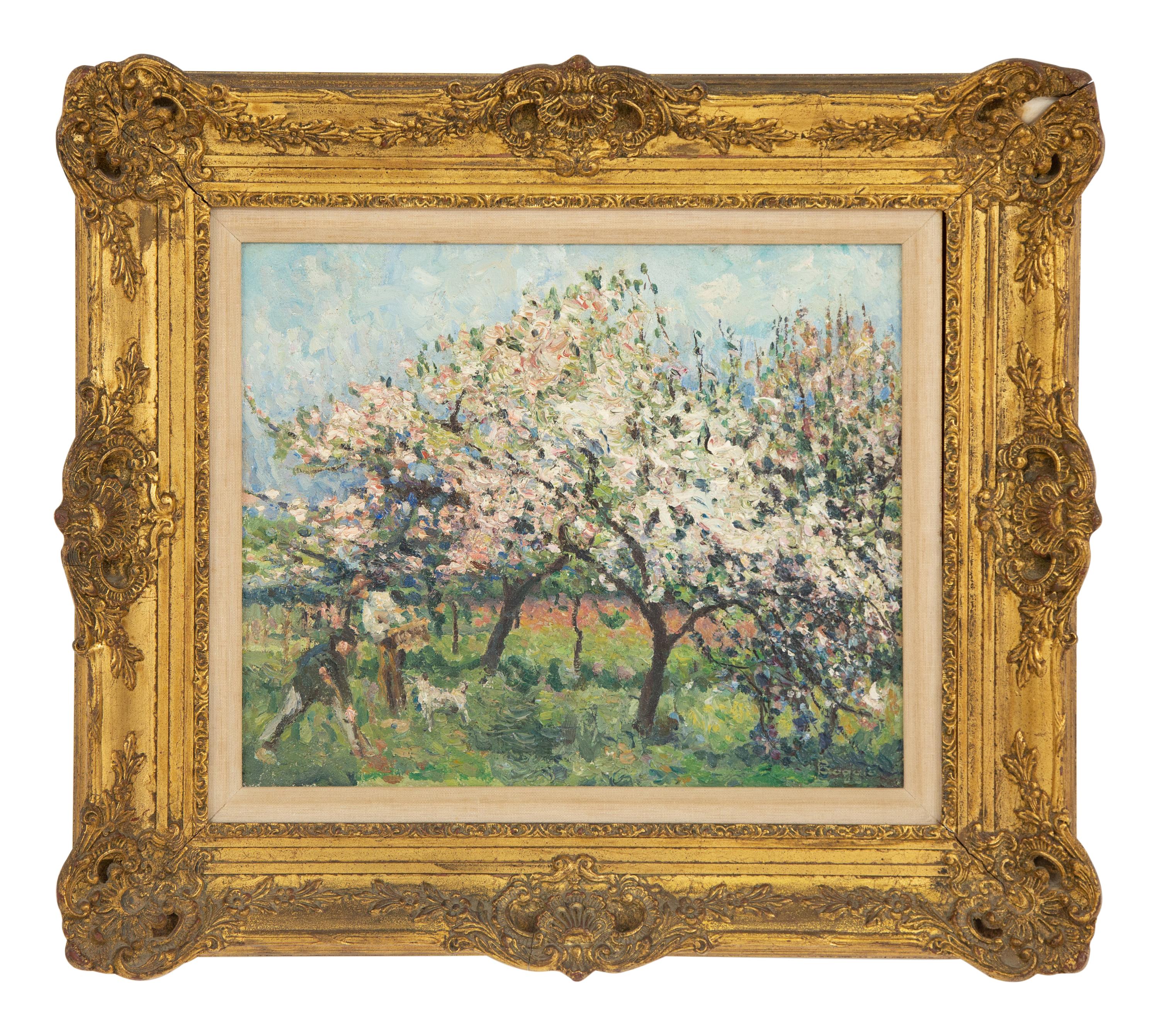 Arbres en fleur