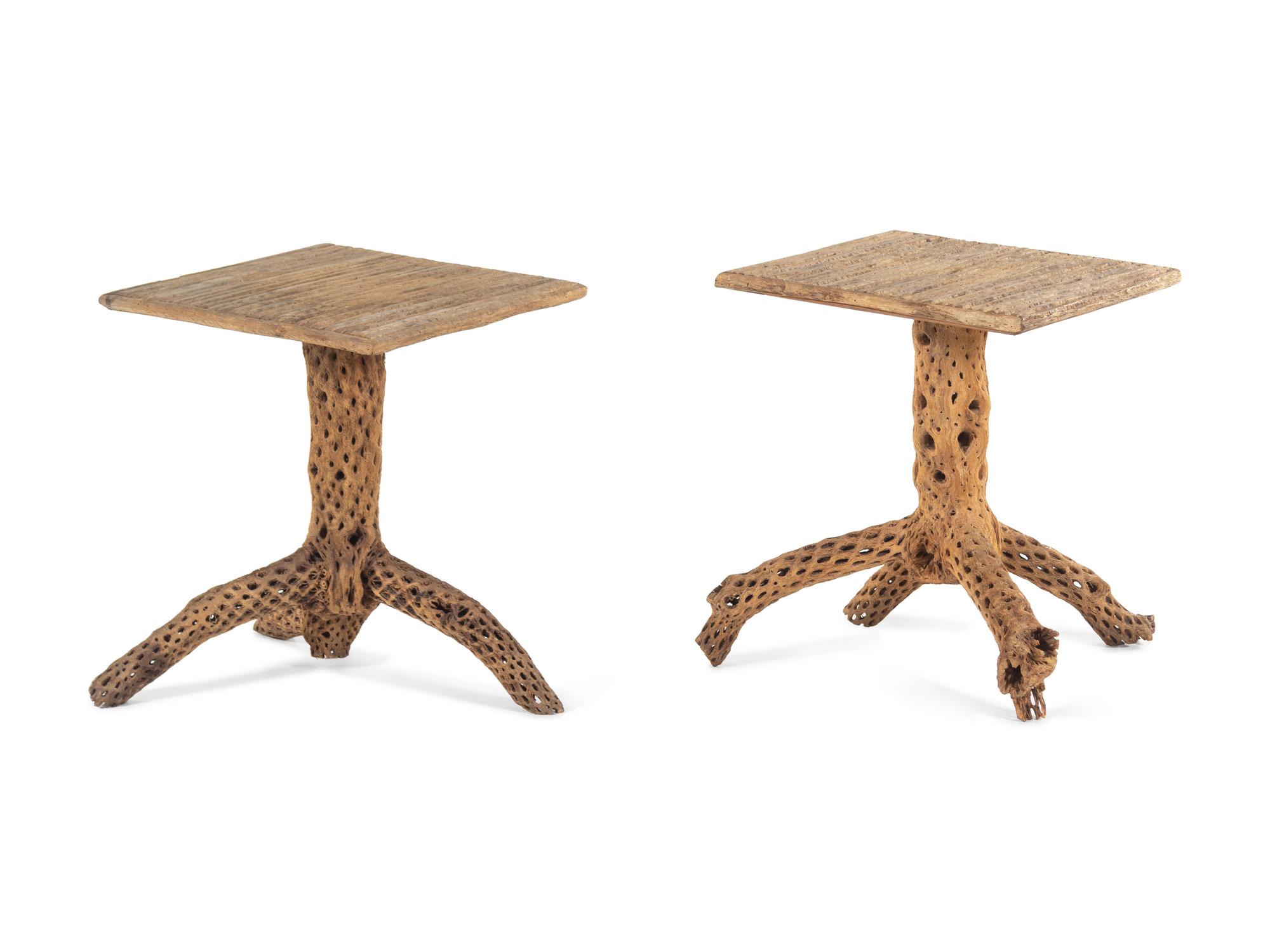 A Pair of American Cholla Wood End Tables