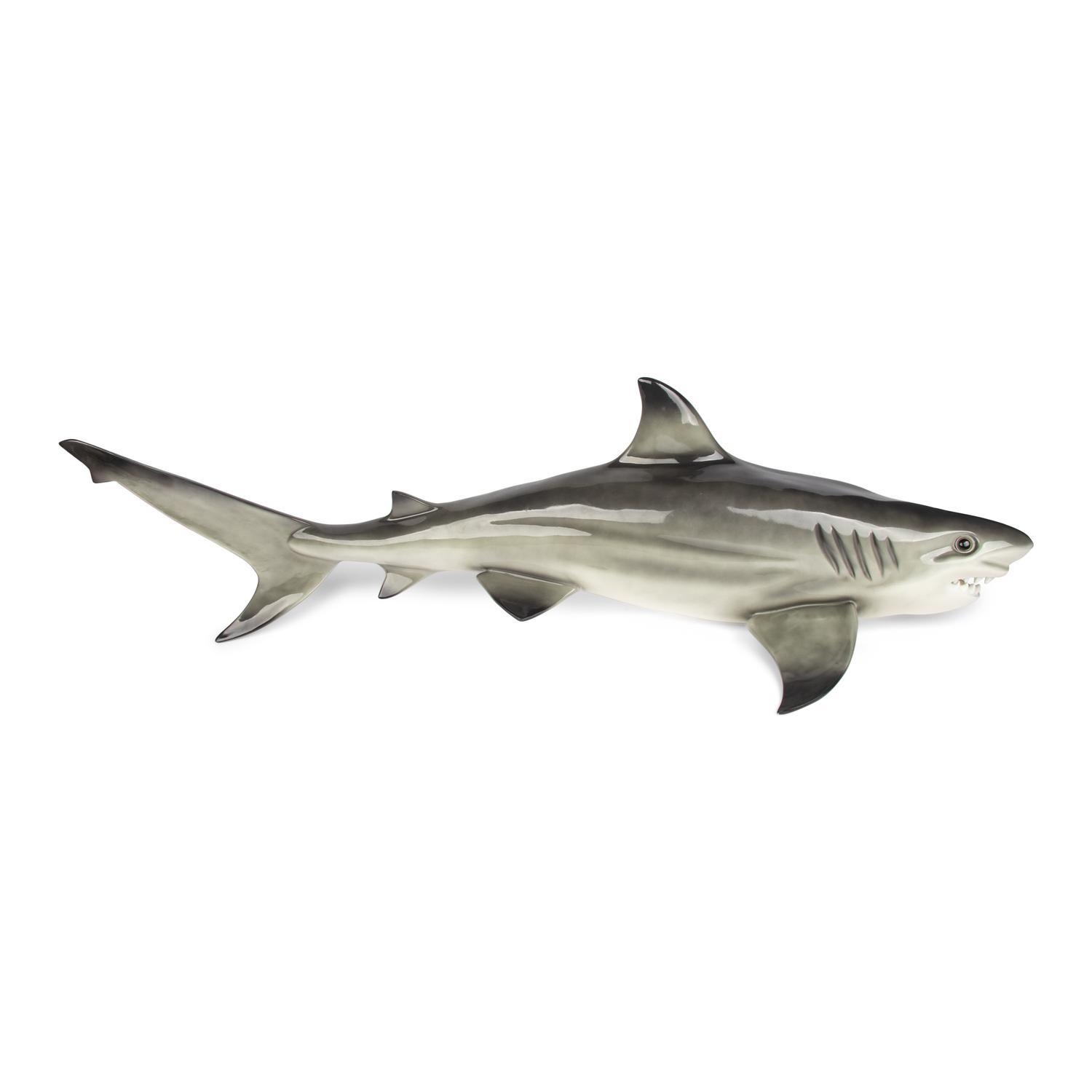 A Resin Model of a Shark Mount