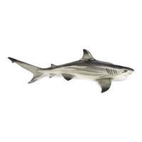 A Resin Model of a Shark Mount
