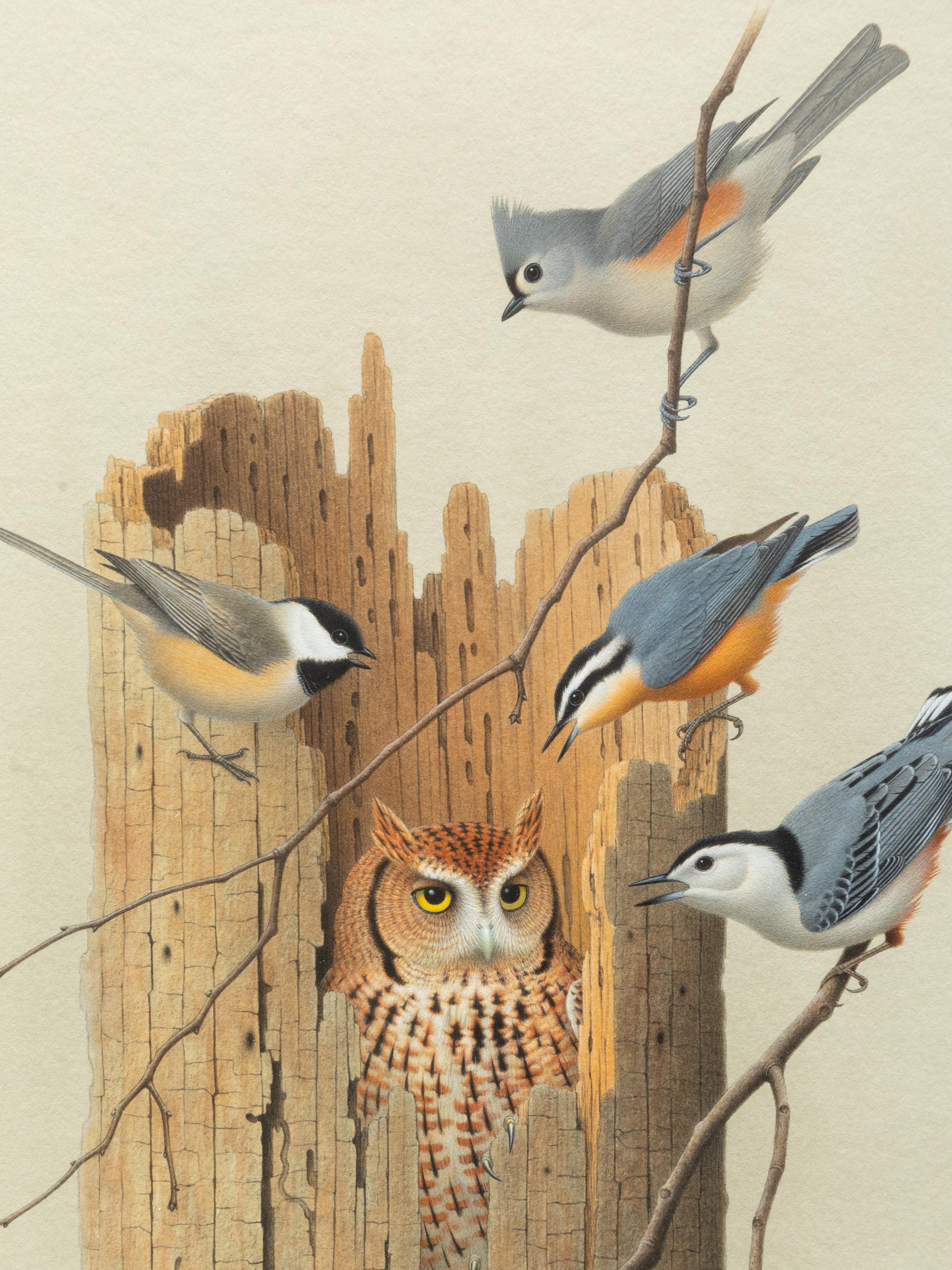 Group of Nine Works, American Bird Series, 1988
