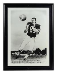 A Group of Four Large Scale Photographs of Mike Ditka as Player Formerly Displayed at Mike Ditka’s Restaurant