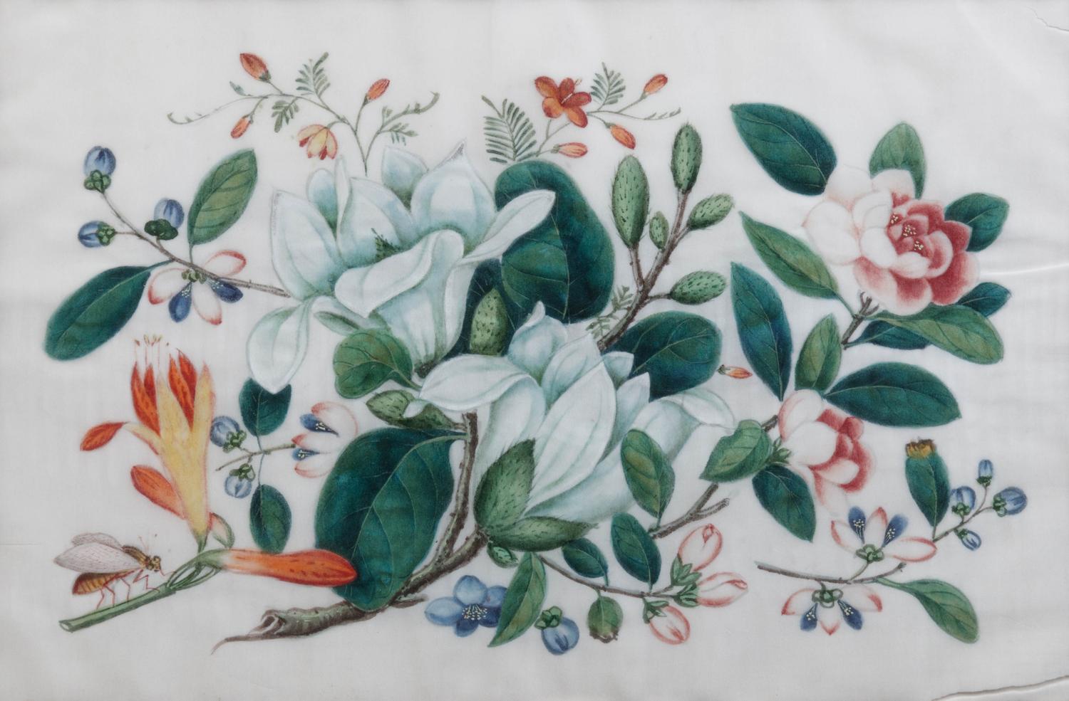 Four Chinese Export Pith Paintings