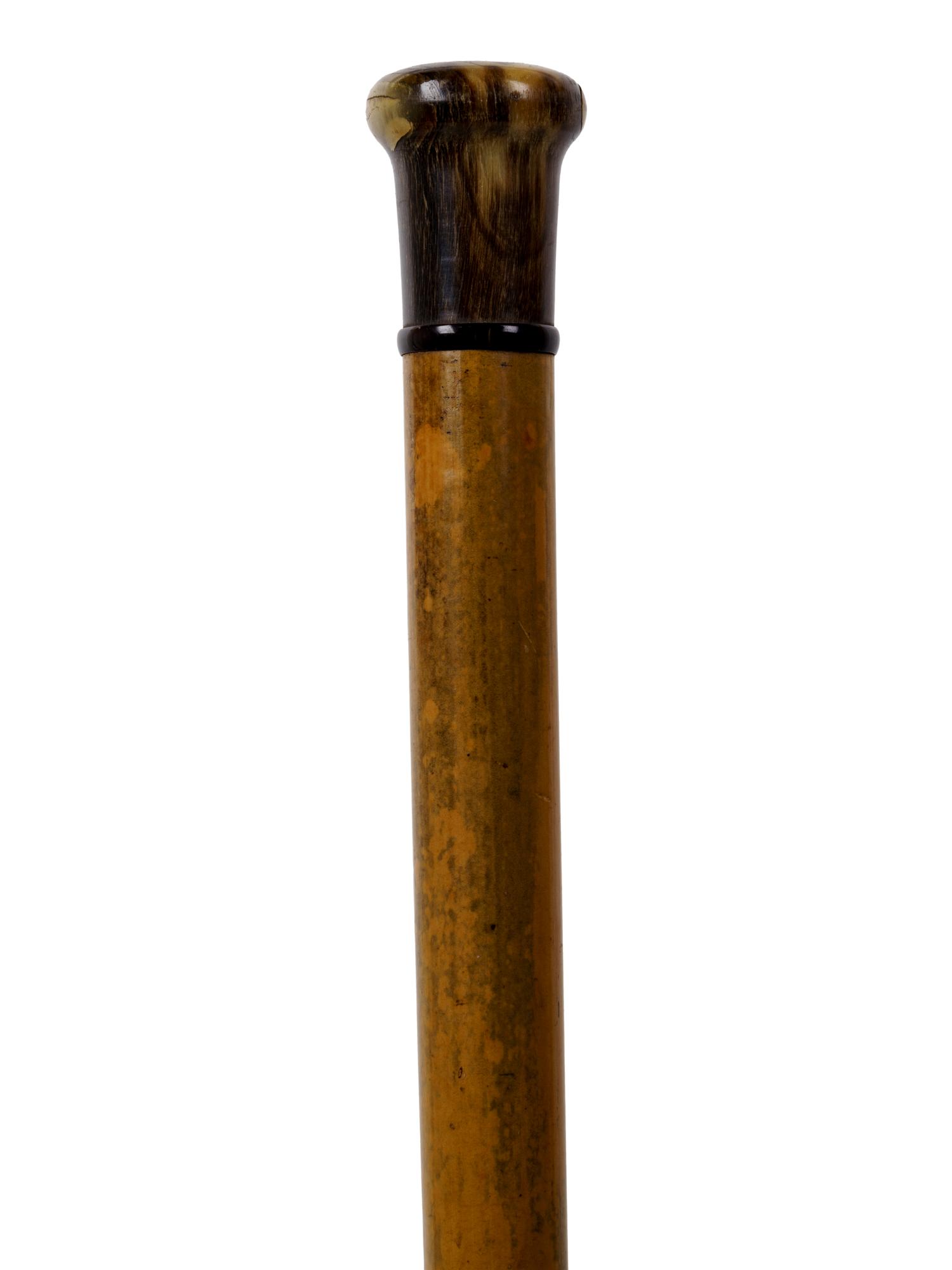 A Horn Mounted Malacca Walking Stick