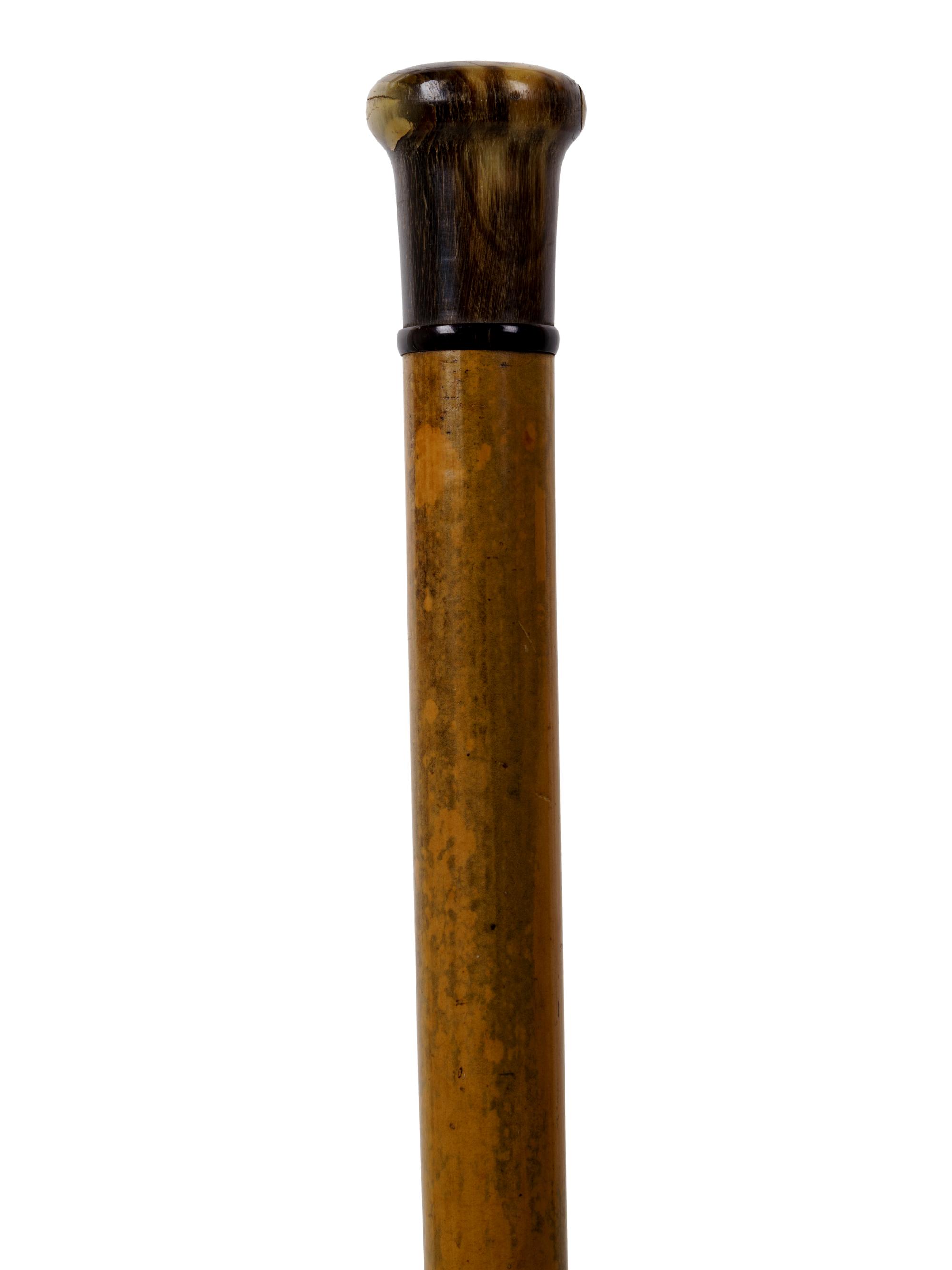A Horn Mounted Malacca Walking Stick
