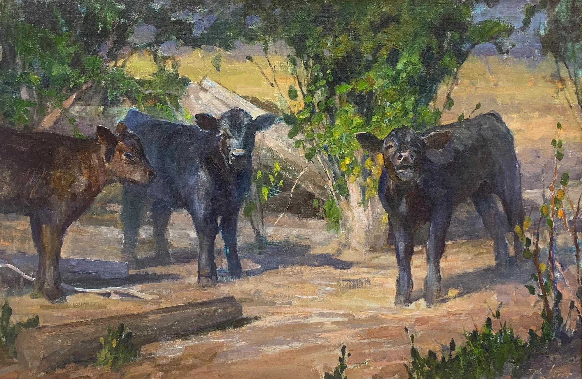 Spring Calves